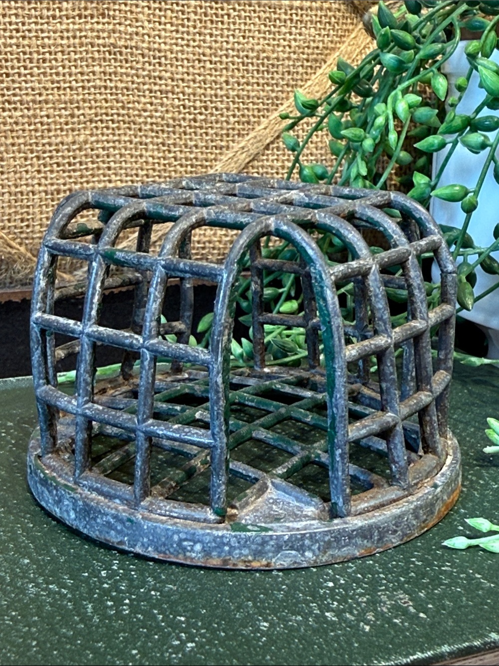 Vintage Dazy Cast Iron Floral Frog Cage